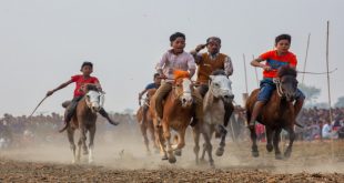 horse_racing_1_by_ahmed_sikder