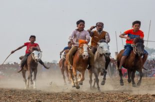 horse_racing_1_by_ahmed_sikder