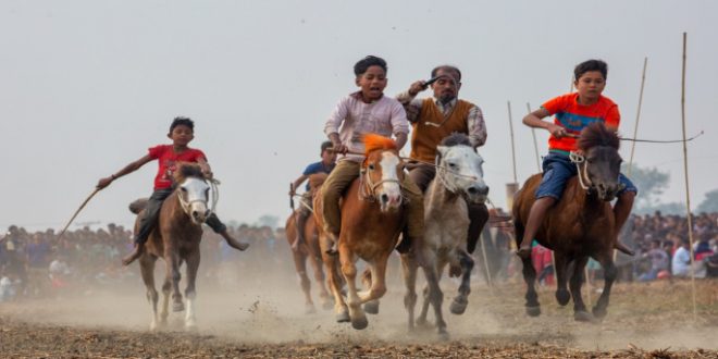horse_racing_1_by_ahmed_sikder