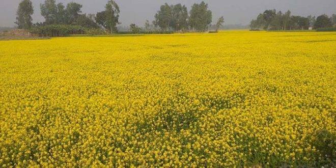 image-121623-1704862737