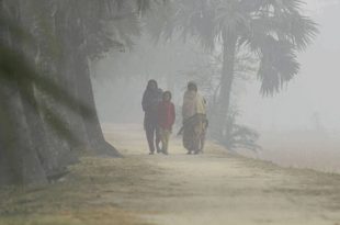 image-121921-1705058944