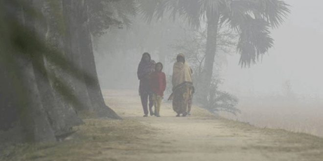 image-121921-1705058944