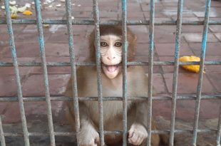 zoo-1-20210821172113