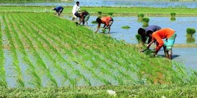 image-127212-1708316521