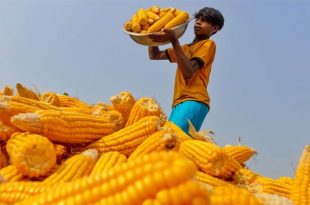 vutta-pb-6451f4444c053