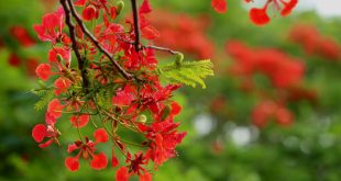 360_F_348466845_WyuybqZxEu2iFkUd40mX7VWV1kWPDWVZ