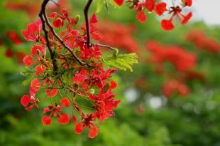 360_F_348466845_WyuybqZxEu2iFkUd40mX7VWV1kWPDWVZ