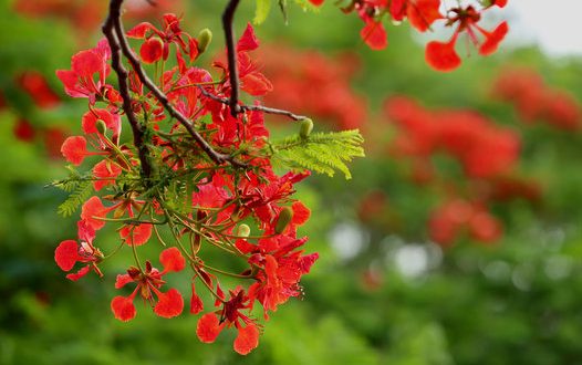 360_F_348466845_WyuybqZxEu2iFkUd40mX7VWV1kWPDWVZ