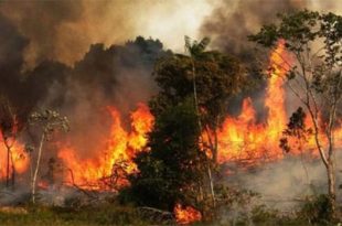 image-136401-1714830199