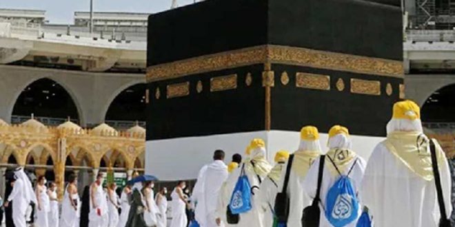 image-795502-1713324788