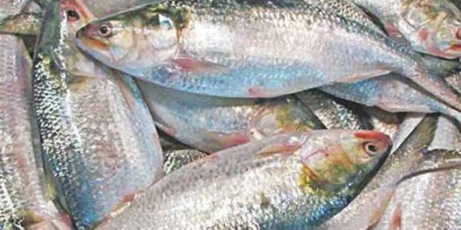 image-802382-1715013249