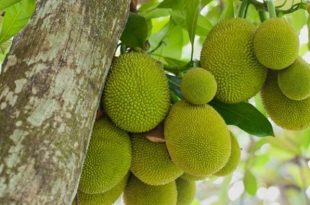 katal-inner20180609022501