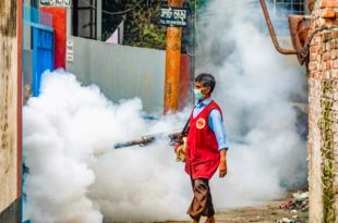 dncc-mosha-2409190551