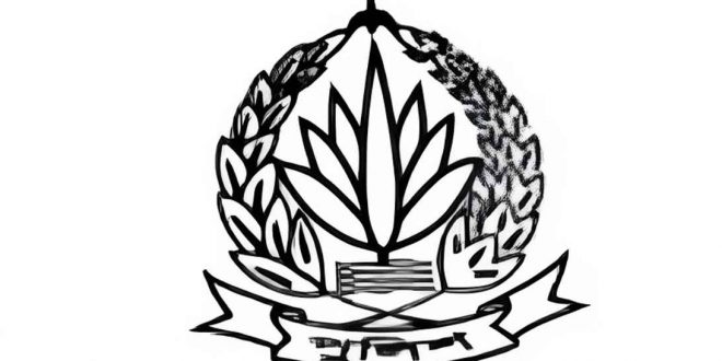 logo_20250411_115413268