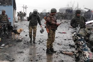 15 5 2026 2