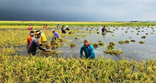 25 2026 33